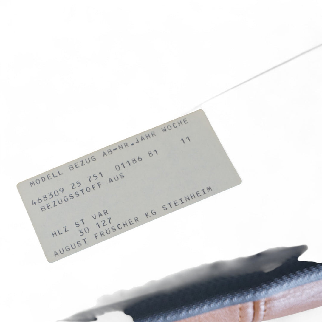 2er Set Fröscher Leder Bürostühle von Burkhard Vogtherr, 1970