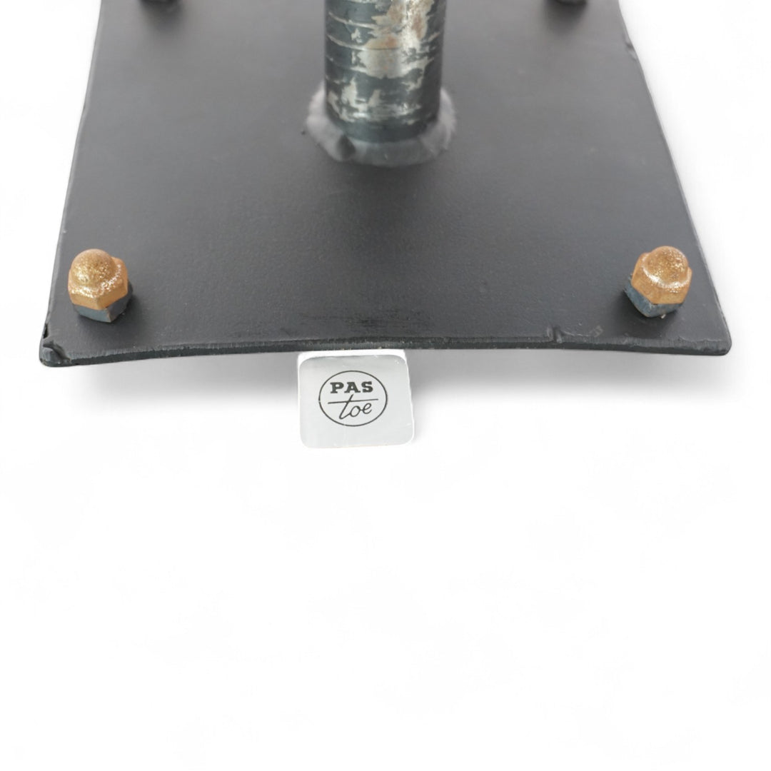 Pastoe FM08 Loungesessel von Cees Braakman, 1960