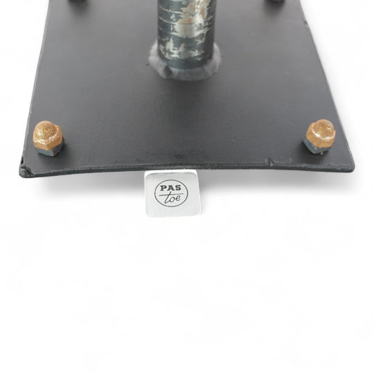 Pastoe FM08 Loungesessel von Cees Braakman, 1960